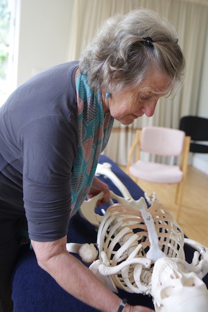 Courses - Sarah with Charlie (skeleton)